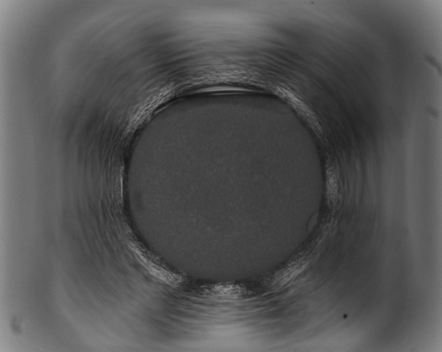 X0000100970493200806241554