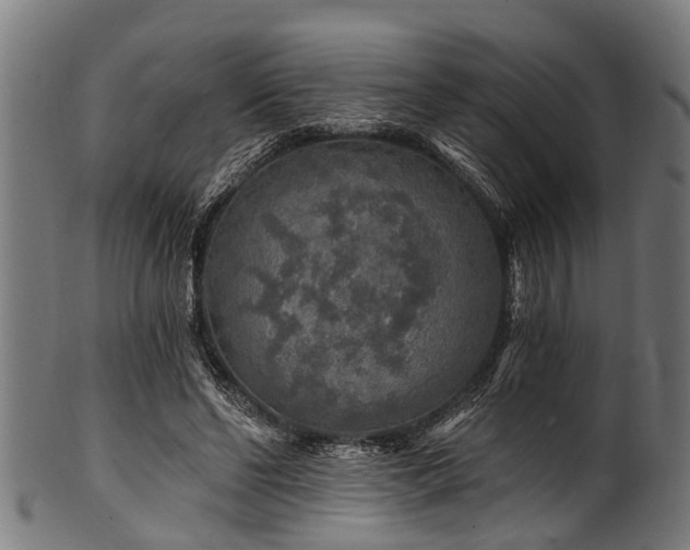X0000100970494200806241554