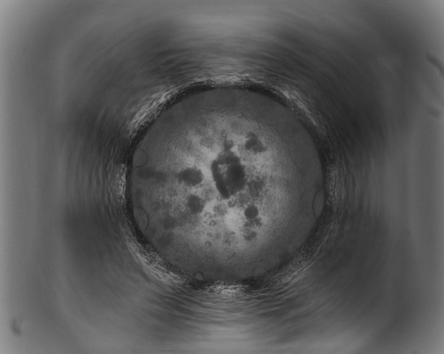 X0000100970495200806241554