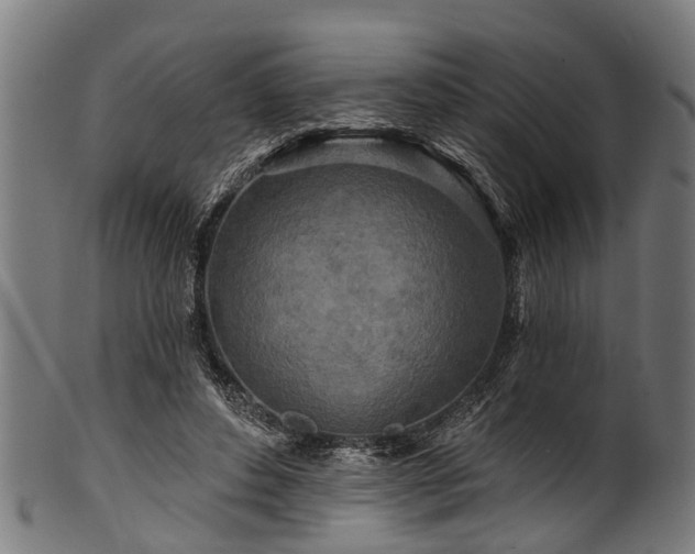 X0000100970496200806241554