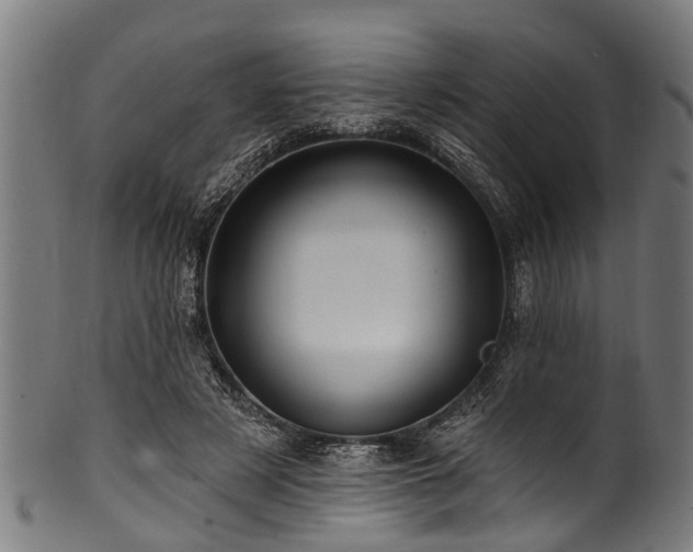 X0000100970497200806241554