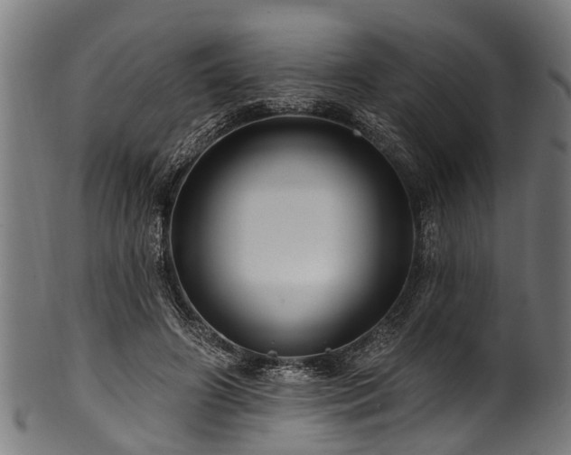 X0000100970498200806241554