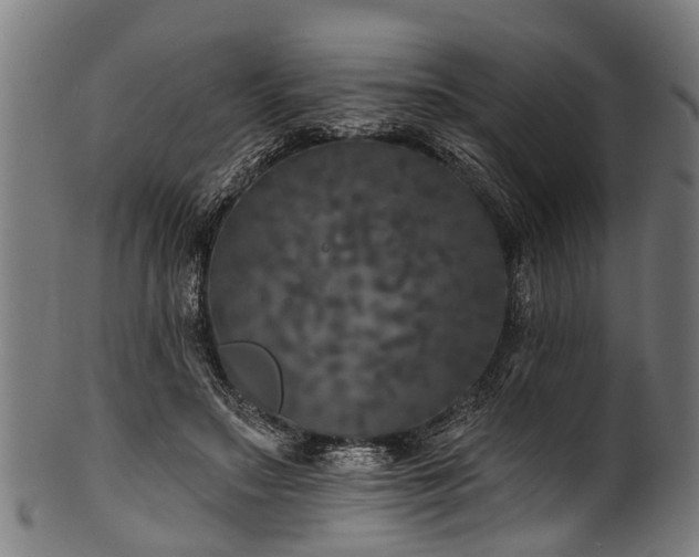 X0000100970499200806241554