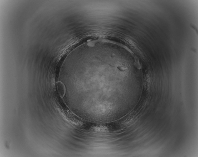 X0000100970500200806241554