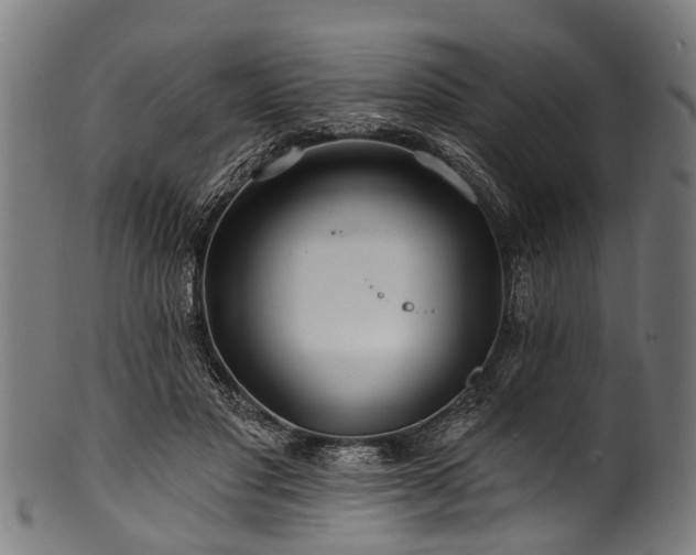 X0000100970501200806241554