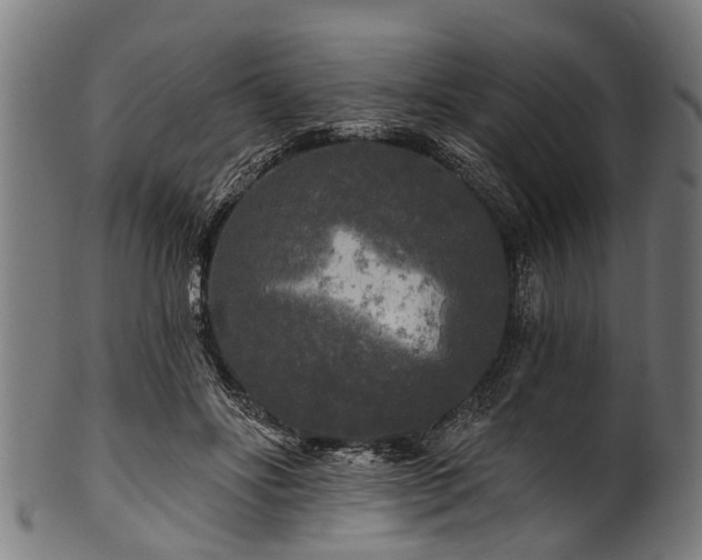 X0000100970502200806241554