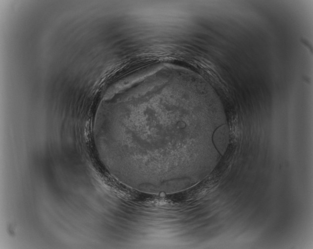 X0000100970503200806241554
