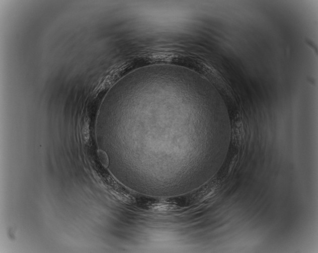 X0000100970504200806241554
