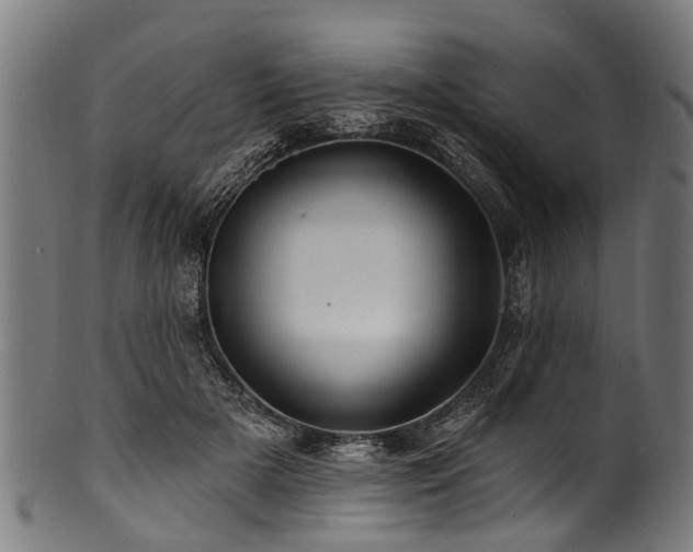 X0000100970505200806241554