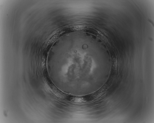 X0000100970507200806241554