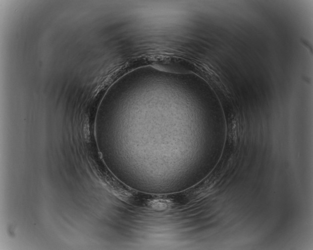 X0000100970508200806241554