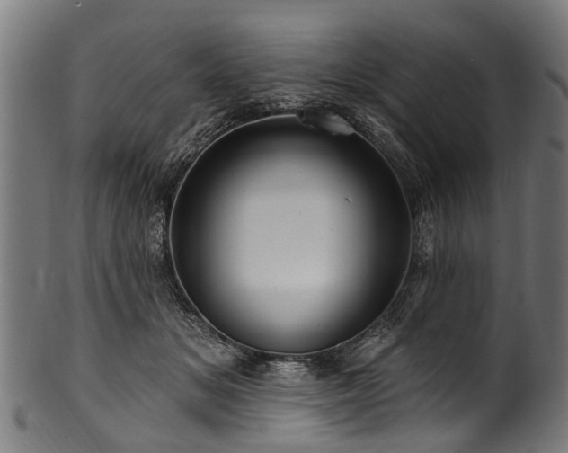 X0000100970509200806241554