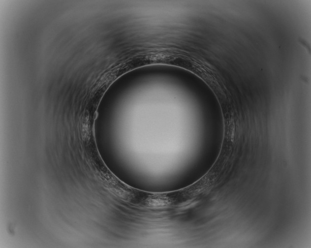 X0000100970510200806241554