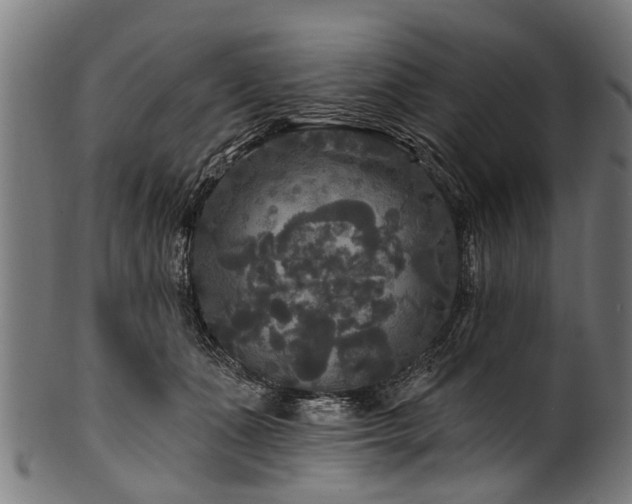 X0000100970511200806241554
