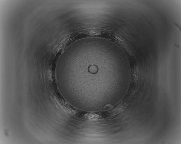 X0000100970512200806241554