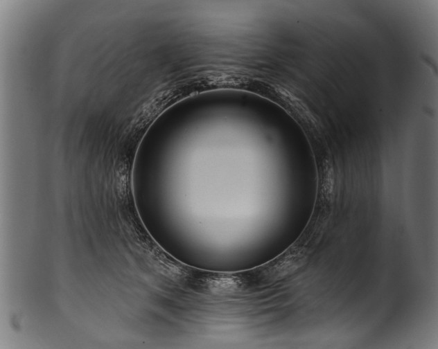X0000100970513200806241554