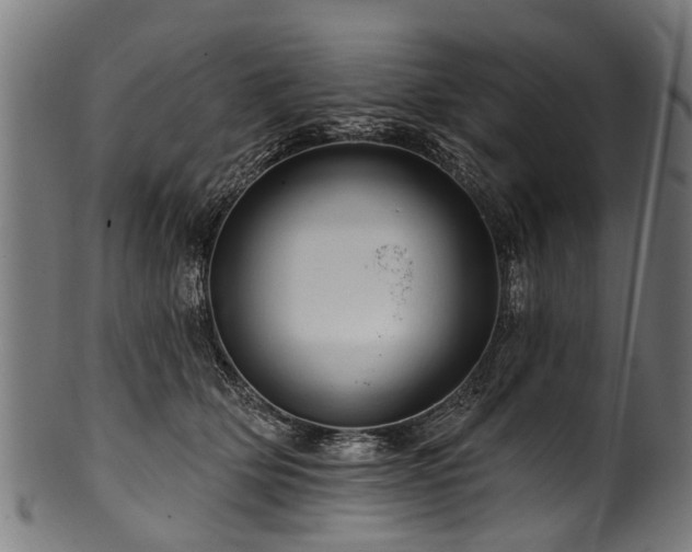 X0000100970514200806241554