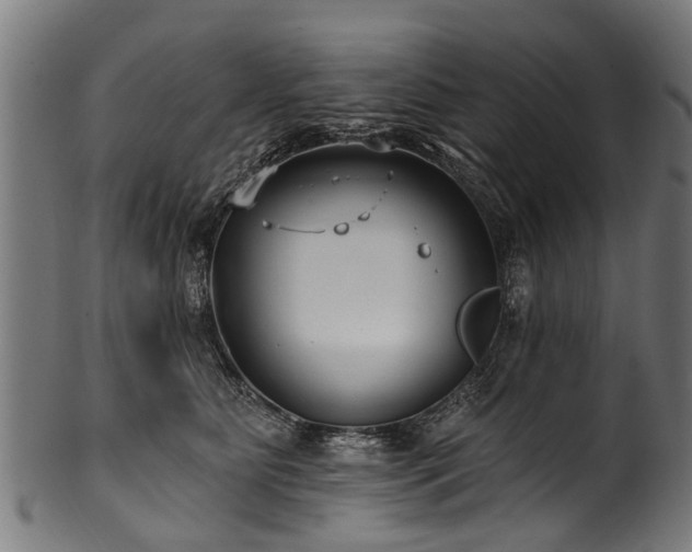 X0000100970515200806241554