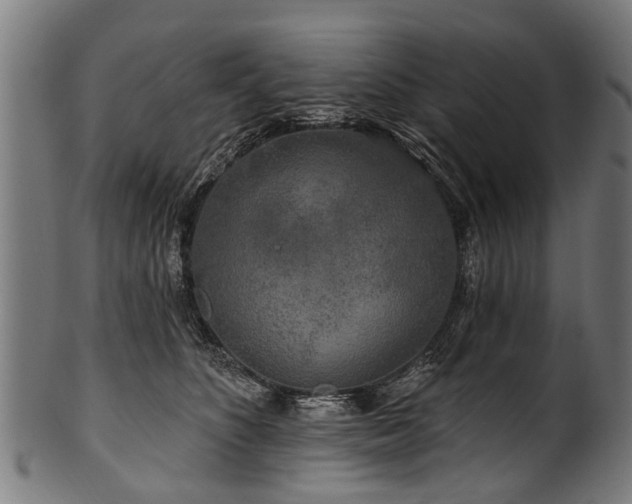 X0000100970516200806241554