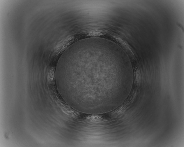 X0000100970517200806241554