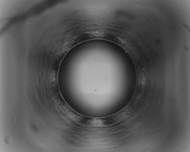 X0000100970518200806241554