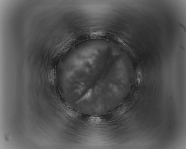X0000100970519200806241554