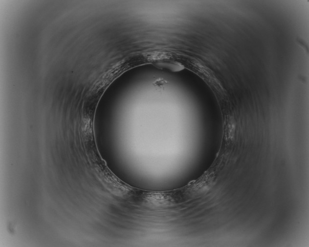 X0000100970521200806241554