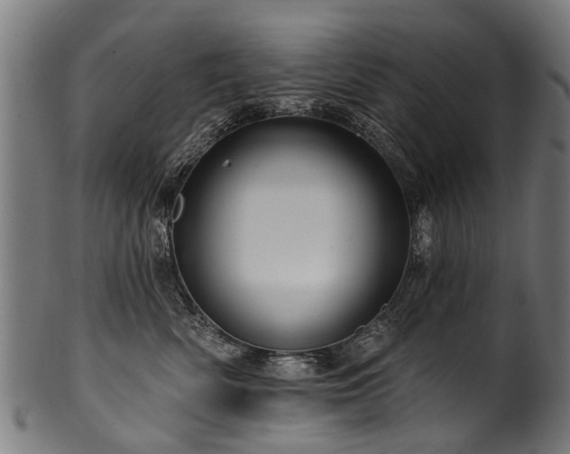 X0000100970522200806241554