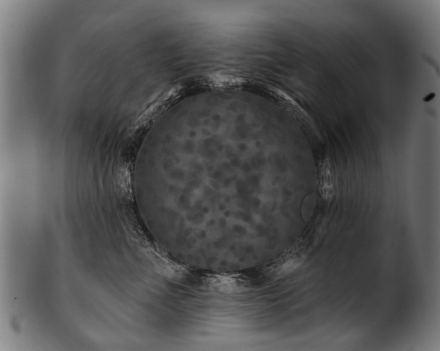 X0000100970523200806241554