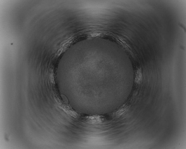 X0000100970524200806241554