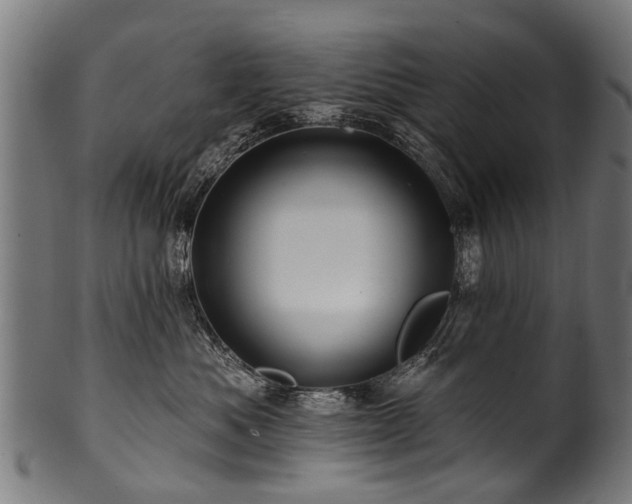 X0000100970525200806241554