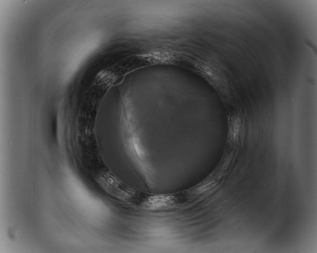 X0000100970526200806241554