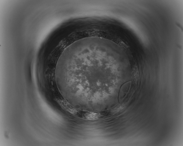 X0000100970527200806241554