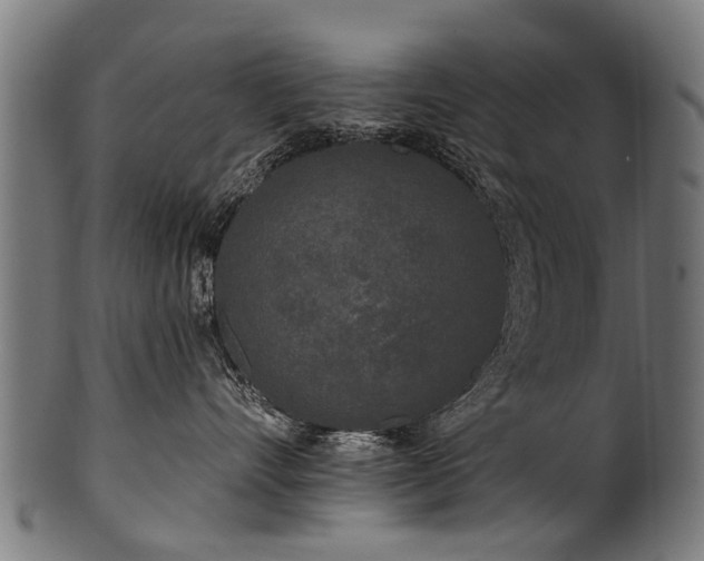 X0000100970528200806241554