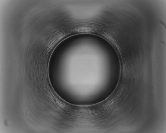 X0000100970529200806241553