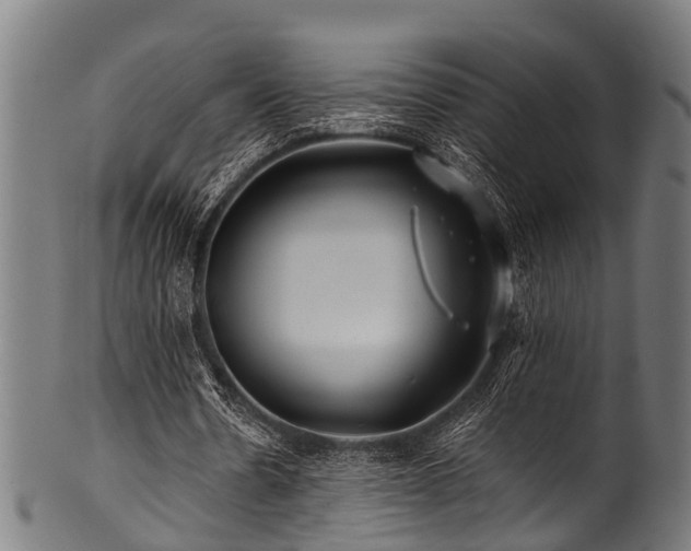 X0000100970530200806241553