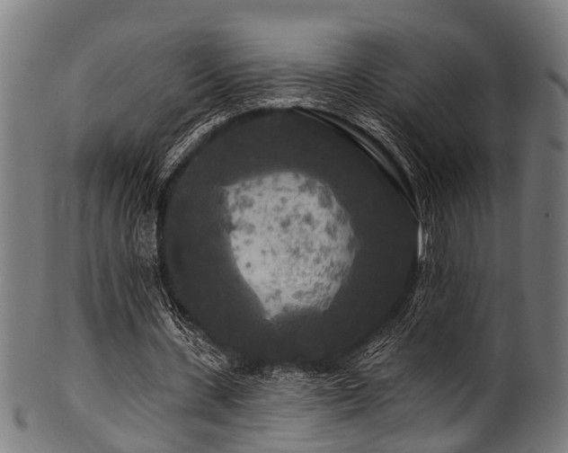 X0000100970531200806241553