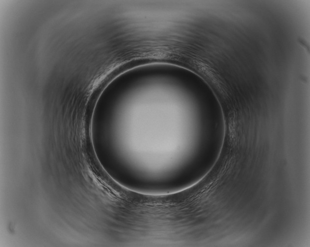 X0000100970532200806241553