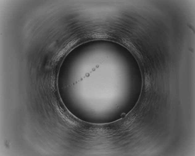 X0000100970533200806241553