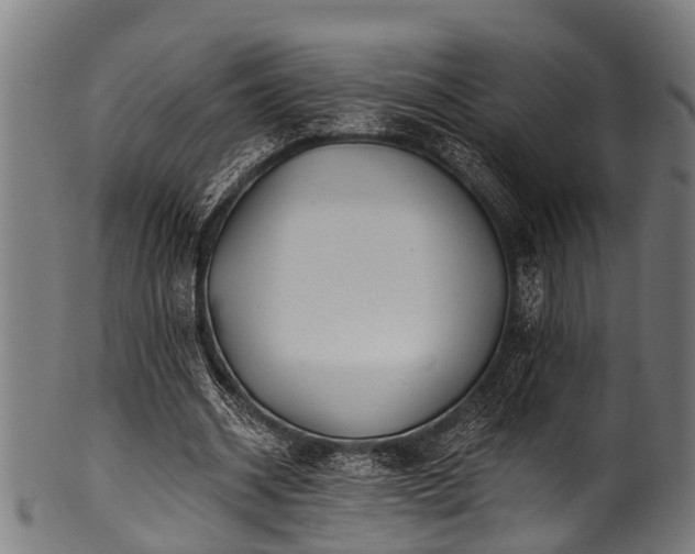 X0000100970534200806241553