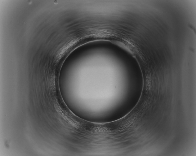 X0000100970535200806241553