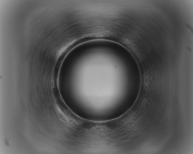X0000100970536200806241553