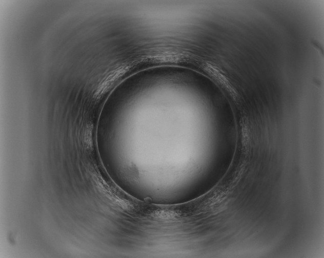 X0000100970537200806241553