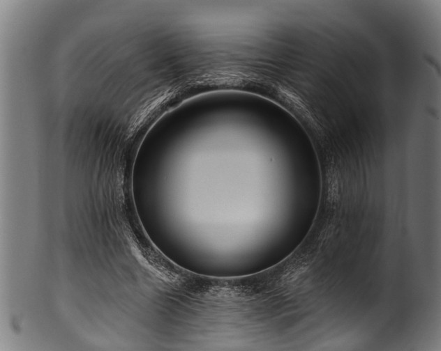 X0000100970538200806241553
