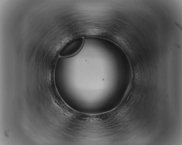 X0000100970539200806241553