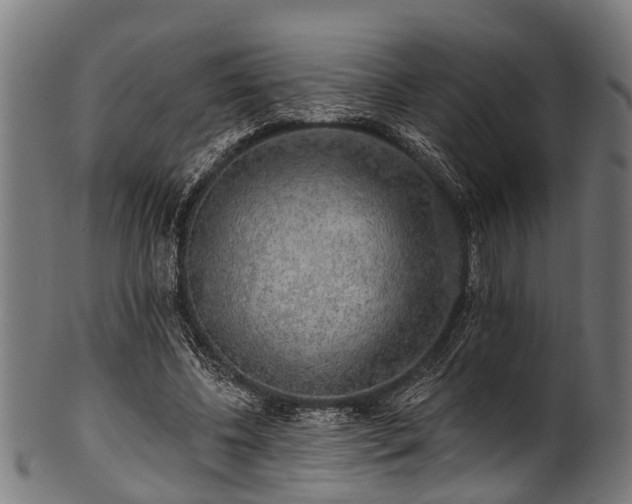 X0000100970540200806241553