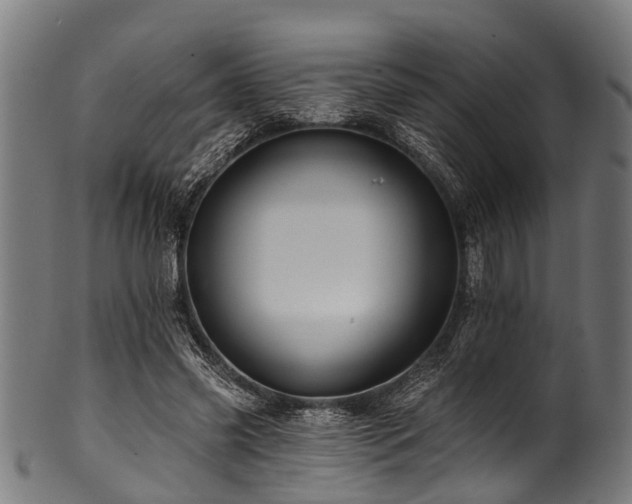 X0000100970541200806241553