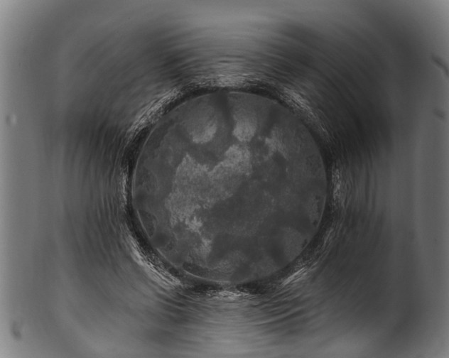 X0000100970542200806241553