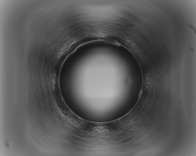 X0000100970544200806241553