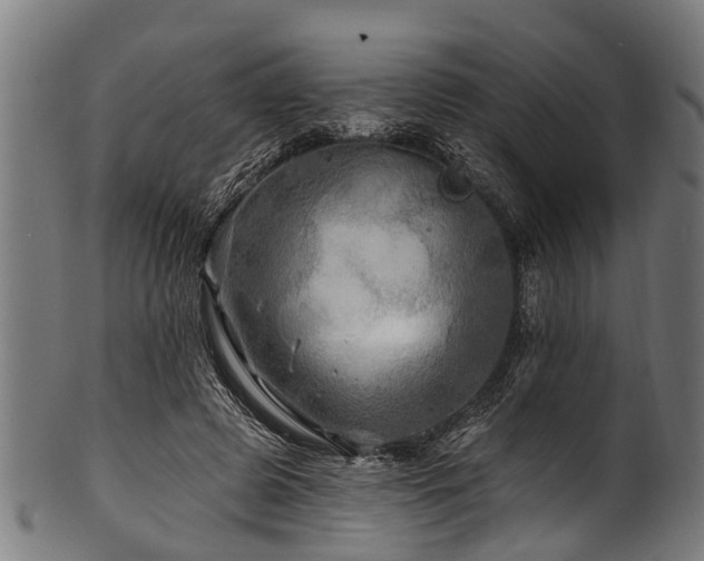 X0000100970545200806241553